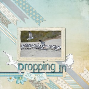 Dropping In