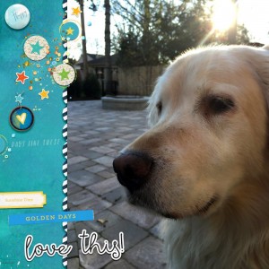 Lucy Feb 2017