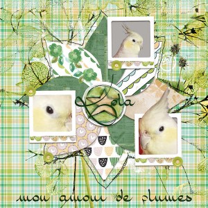 DInskip &  LittleButterflyWings _Never Give And Monthlytemplate_mar17
