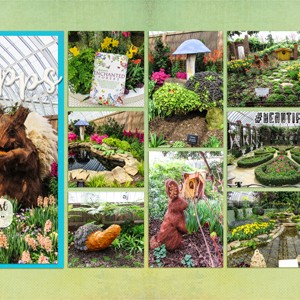 Spring Flower Show, Phipps Conservatory