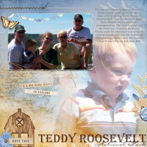 Teddy Roosevelt National Park