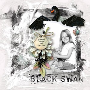 Black-Swan_DesignerTempChal_TLP_WEB