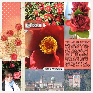 Camellia-3