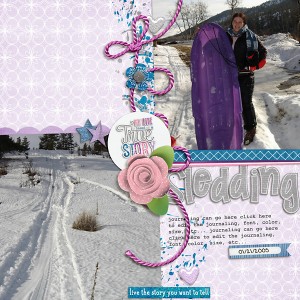 2005-Sledding-Washington-copy