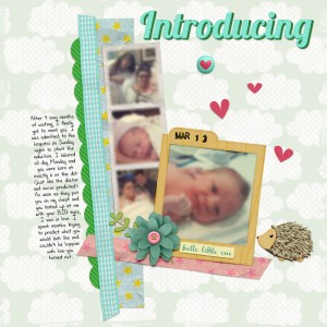 introducing baby