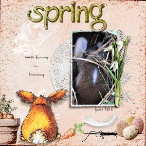 Spring