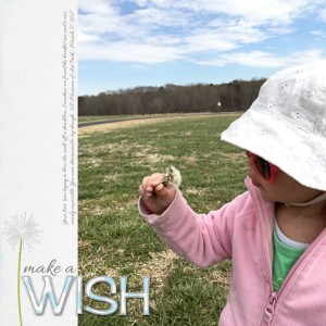 Make a Wish