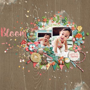 bloom