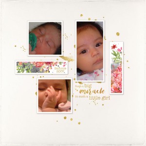 Dpd-lp0417Styleweb