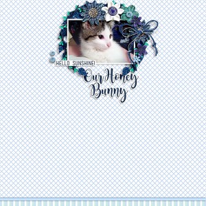 honey bunny