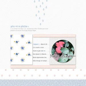 Rainydays-copy