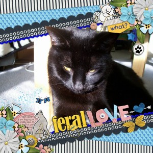 FeralLove