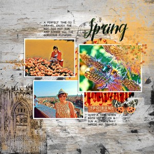AAM_Spring