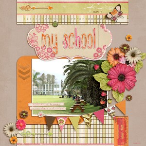 my school