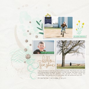 LV-Spring-WEB