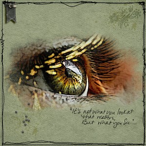 What you see