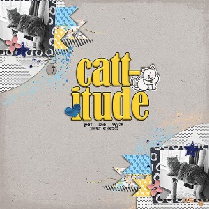 Cattitude
