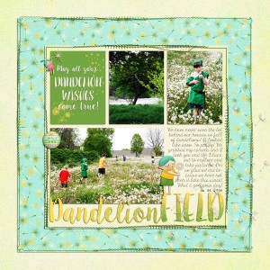 Dandelion Field