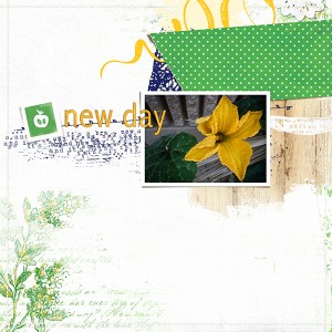 NewDay