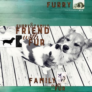 Fur