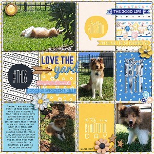 Love-the-Yard