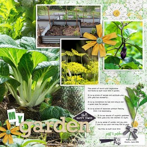 More than a Garden