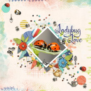 Ladybug Love