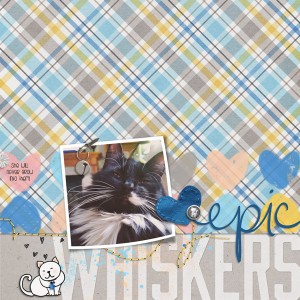 Epic Whiskers