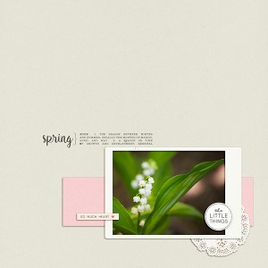 Lily Of The Valley Spring