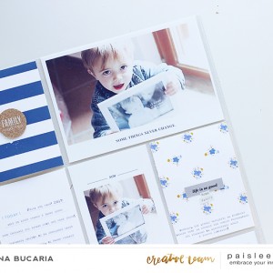 Paislee-rainydays-project-det1-byLoredanaBucaria