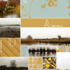 A Day In Biesbosch NP