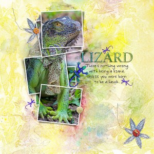Lizard