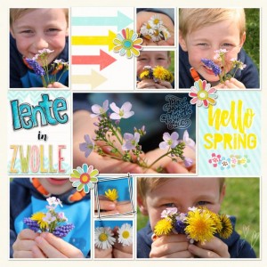 spring spring spring