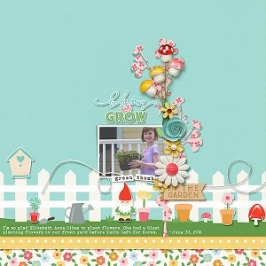 In the Garden