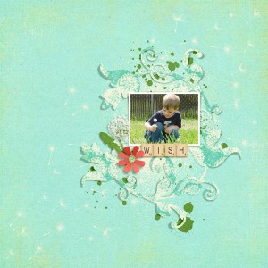 Wish