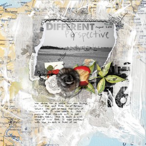 Different Perspective