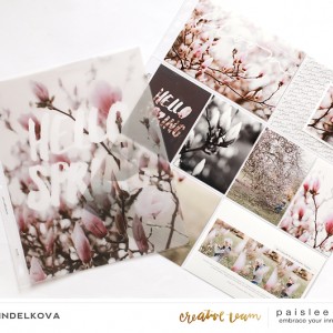 Paislee-APRILMONTHLYPROJECT-layoutbyLucieSindelkova_4