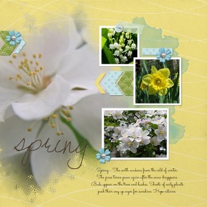 Spring - Hope Returns