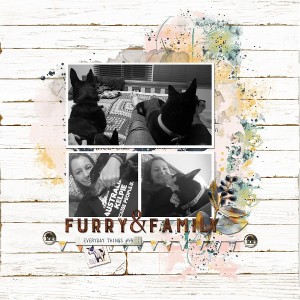 Furry-family