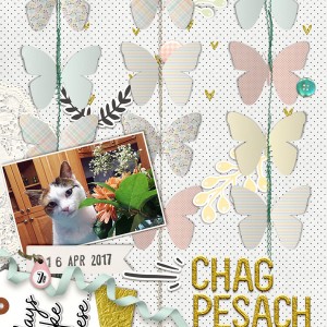 Passover Cat