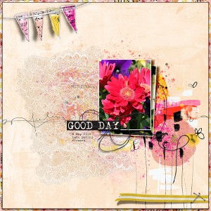May Flowers