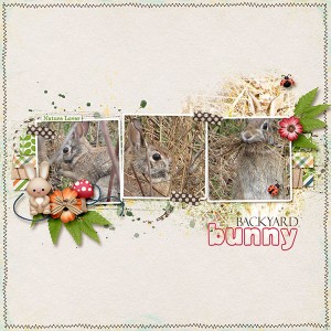Backyard Bunny - April Kaagard Surprise Challenge