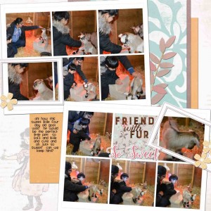April 2017 Lynn Grieveson Designer Challenge