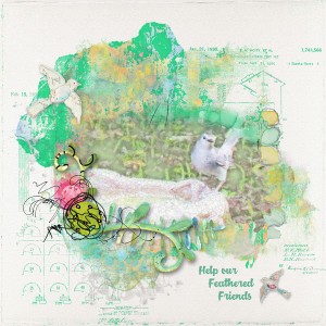 Feathered Friends