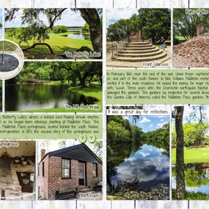 Middleton Place3