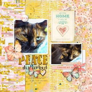 Peace Disturbed