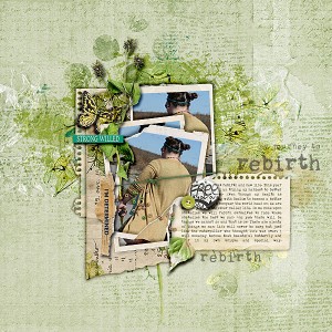 Rebirth