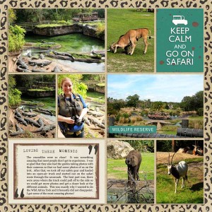 Wild Africa Trek (3)