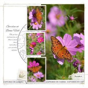 Boone Hall Garden