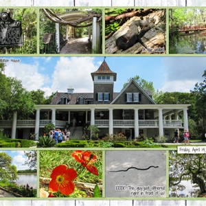 Magnolia Plantation1